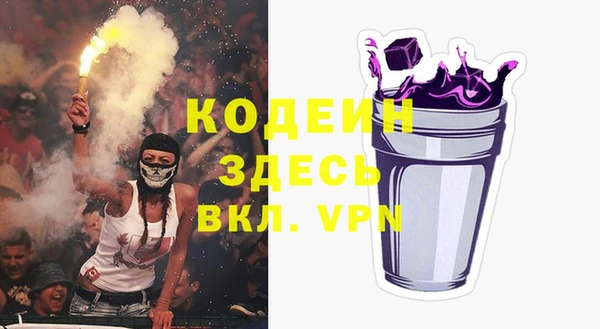 дживик Бронницы