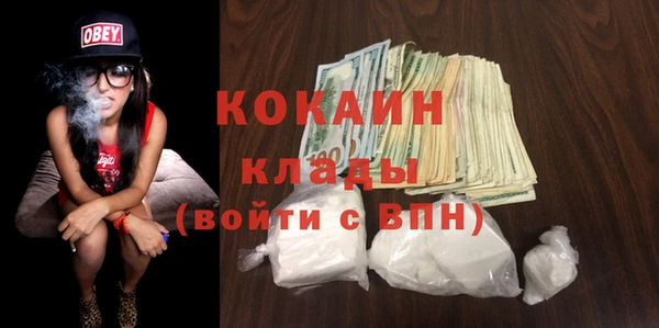 дживик Бронницы