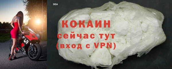 дживик Бронницы